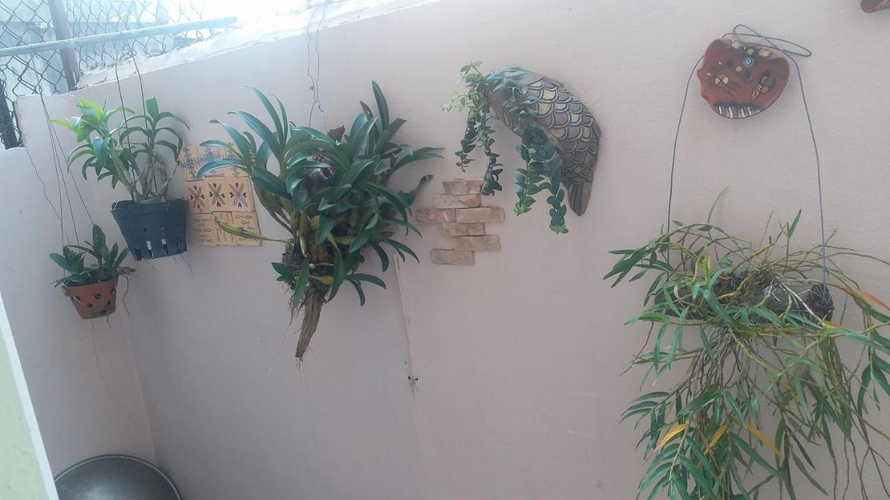 Kota'S House Homestay Hue Pokoj fotografie